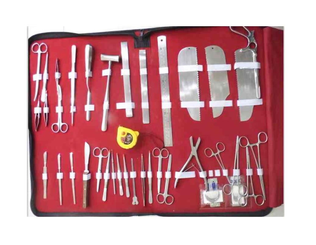 Anatomical instrument set
